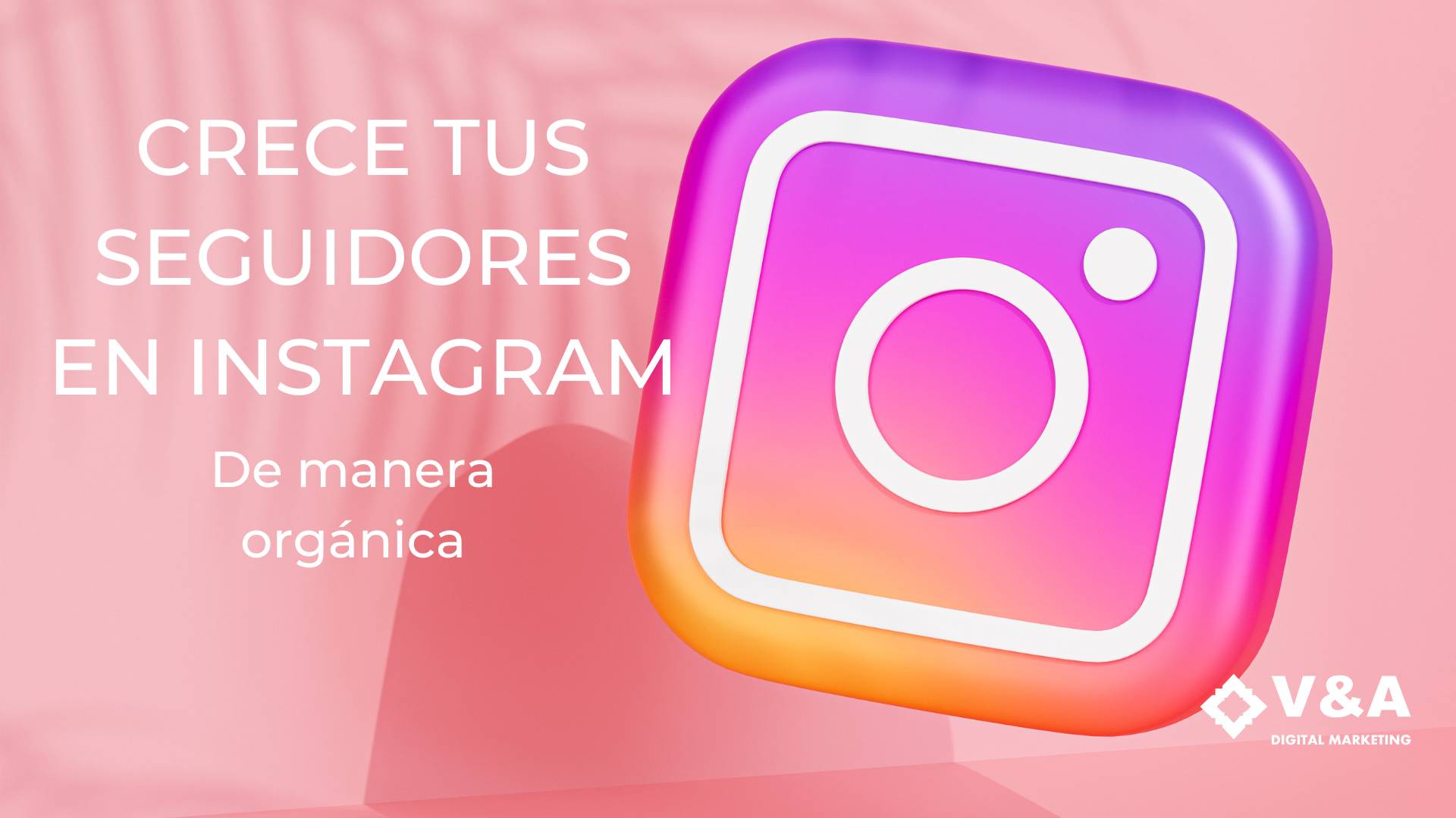 Obtener más seguidores en Instagram